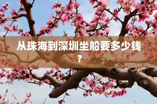从珠海到深圳坐船要多少钱？