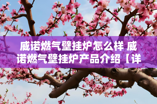 威诺燃气壁挂炉怎么样 威诺燃气壁挂炉产品介绍【详解】