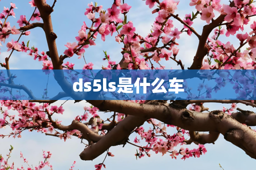ds5ls是什么车