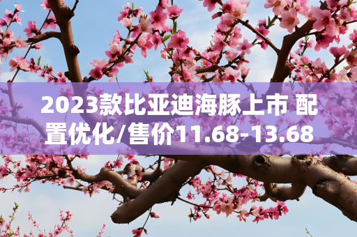 2023款比亚迪海豚上市 配置优化/售价11.68-13.68万元