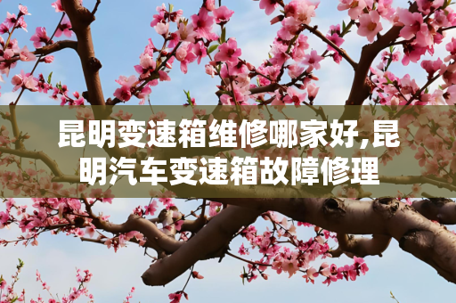昆明变速箱维修哪家好,昆明汽车变速箱故障修理