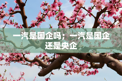 一汽是国企吗；一汽是国企还是央企
