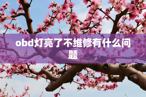 obd灯亮了不维修有什么问题