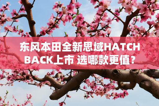 东风本田全新思域HATCHBACK上市 选哪款更值？