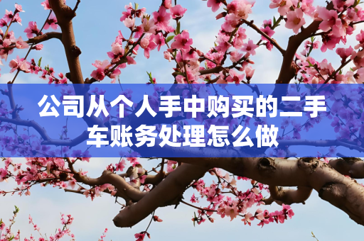 公司从个人手中购买的二手车账务处理怎么做