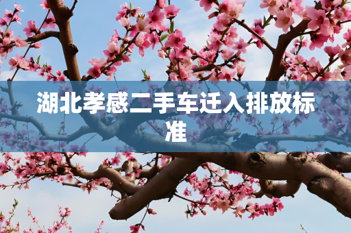 湖北孝感二手车迁入排放标准