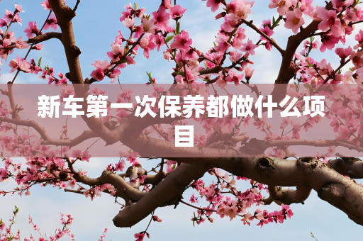 信息 第242页