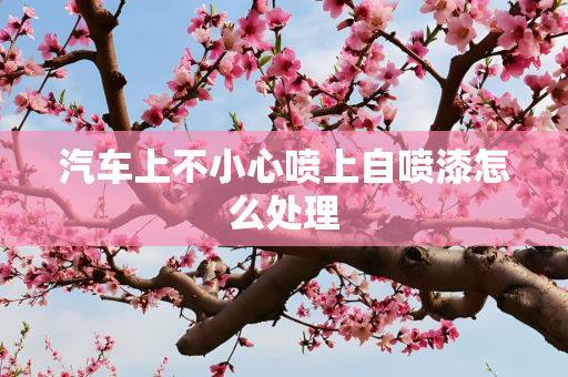 汽车上不小心喷上自喷漆怎么处理