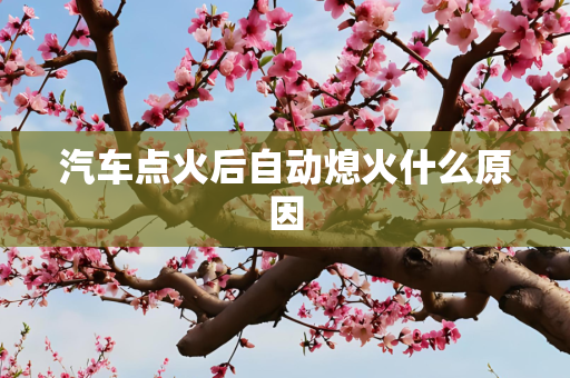 汽车点火后自动熄火什么原因
