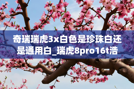 奇瑞瑞虎3x白色是珍珠白还是通用白_瑞虎8pro16t浩瀚版白色是什么白
