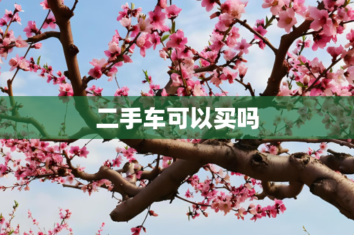 二手车可以买吗