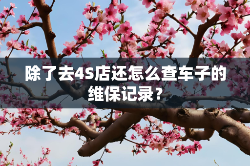 除了去4S店还怎么查车子的维保记录？