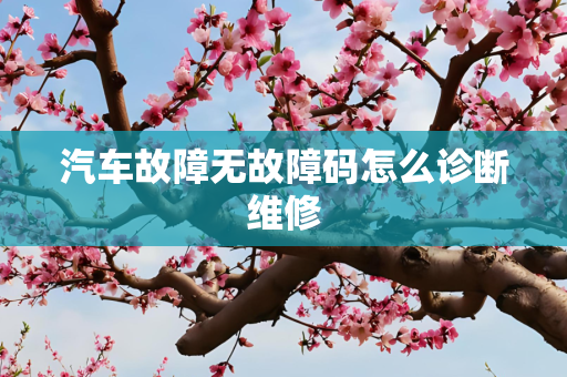 汽车故障无故障码怎么诊断维修