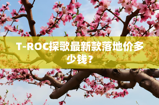 T-ROC探歌最新款落地价多少钱？