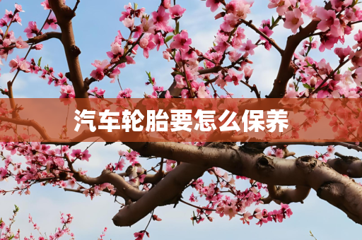 3838px 第1954页