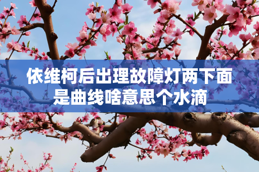 依维柯后出理故障灯两下面是曲线啥意思个水滴