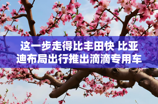 这一步走得比丰田快 比亚迪布局出行推出滴滴专用车D1