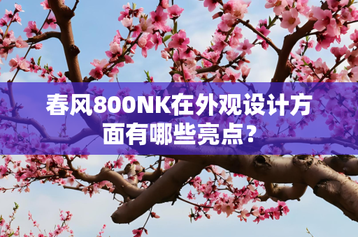 春风800NK在外观设计方面有哪些亮点？
