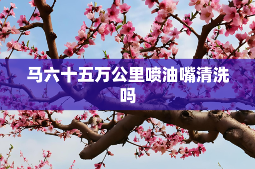 马六十五万公里喷油嘴清洗吗