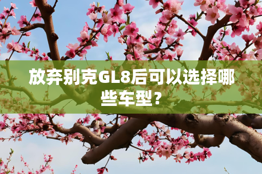 放弃别克GL8后可以选择哪些车型？