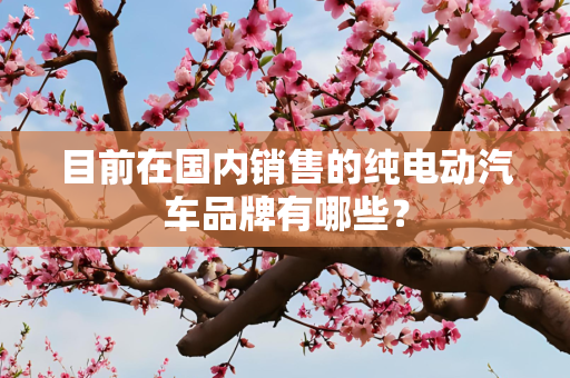 目前在国内销售的纯电动汽车品牌有哪些？