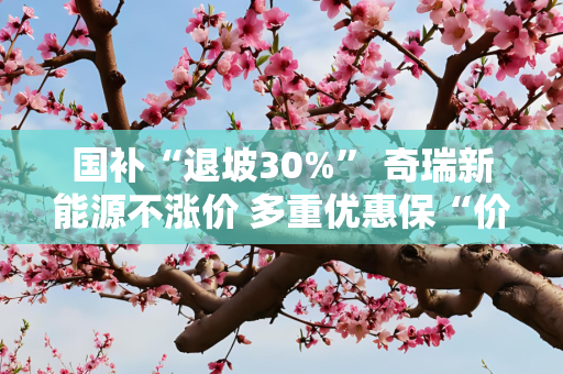 国补“退坡30%” 奇瑞新能源不涨价 多重优惠保“价”护航