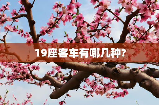 19座客车有哪几种?