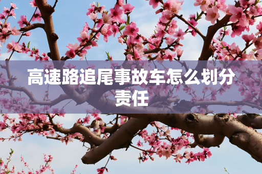 信息 第241页