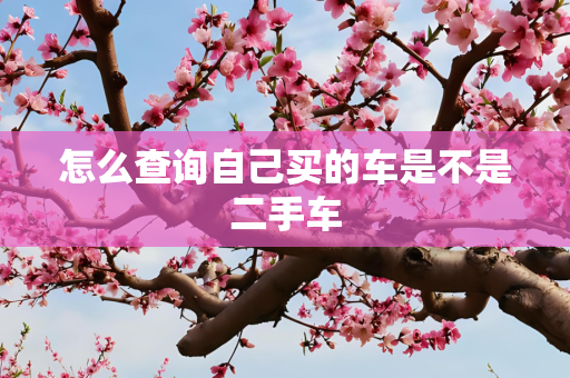 怎么查询自己买的车是不是二手车