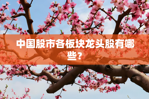 中国股市各板块龙头股有哪些？