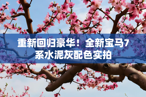 重新回归豪华！全新宝马7系水泥灰配色实拍
