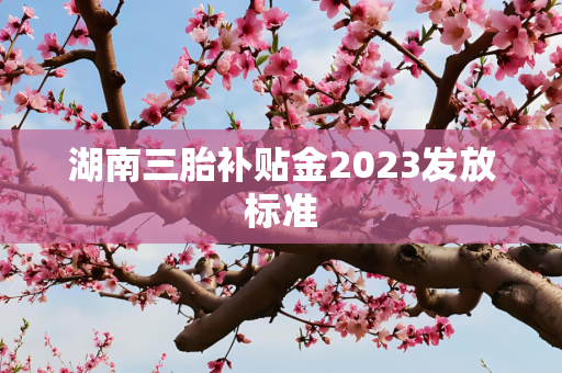 湖南三胎补贴金2023发放标准