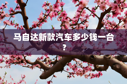 马自达新款汽车多少钱一台？