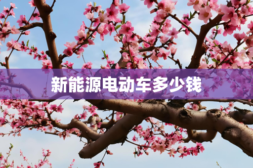 新能源电动车多少钱