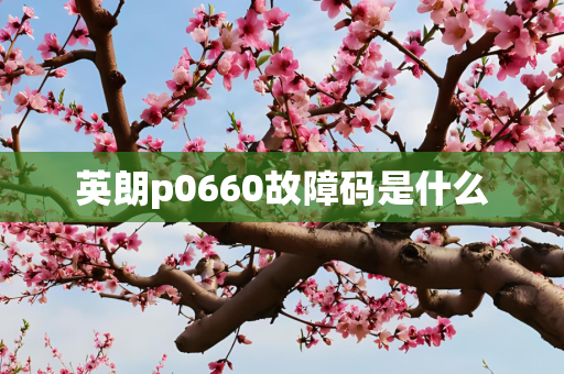 英朗p0660故障码是什么