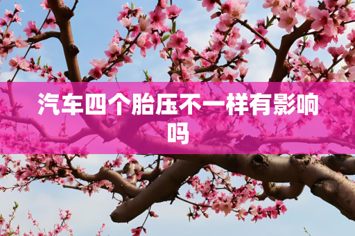 汽车四个胎压不一样有影响吗