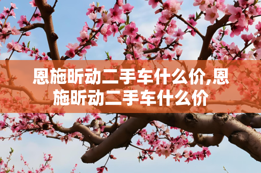恩施昕动二手车什么价,恩施昕动二手车什么价