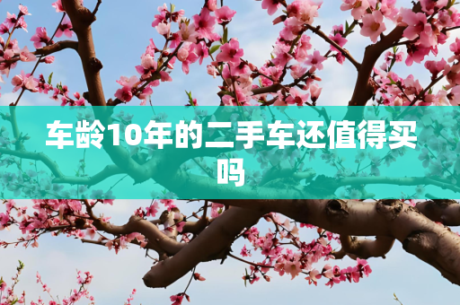 车龄10年的二手车还值得买吗