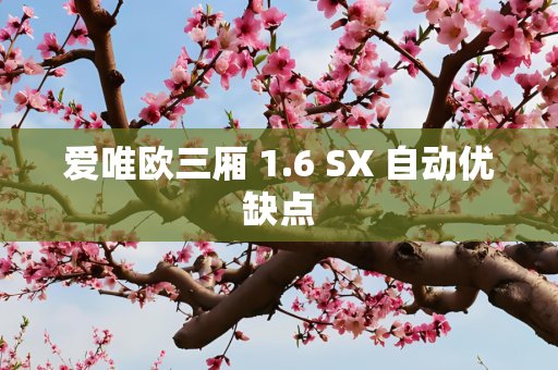 爱唯欧三厢 1.6 SX 自动优缺点