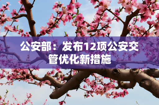 公安部：发布12项公安交管优化新措施