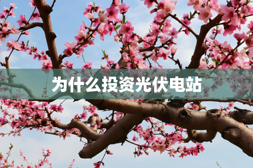 为什么投资光伏电站