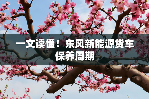 一文读懂！东风新能源货车保养周期