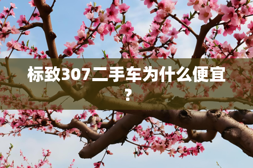 标致307二手车为什么便宜？
