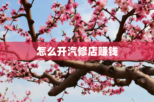 怎么开汽修店赚钱