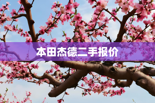 本田杰德二手报价