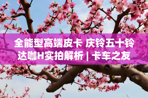 全能型高端皮卡 庆铃五十铃达咖H实拍解析 | 卡车之友网