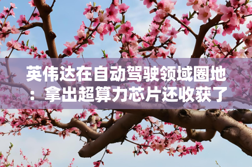 英伟达在自动驾驶领域圈地：拿出超算力芯片还收获了两家中国公司