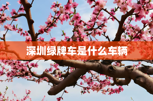 深圳绿牌车是什么车辆