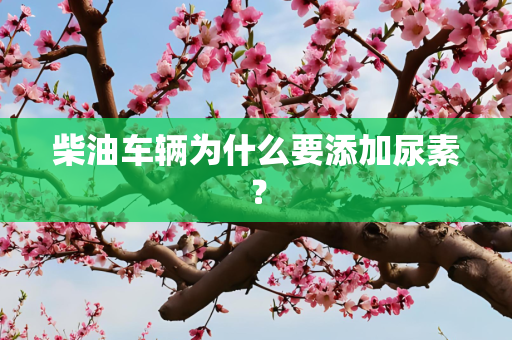 柴油车辆为什么要添加尿素？