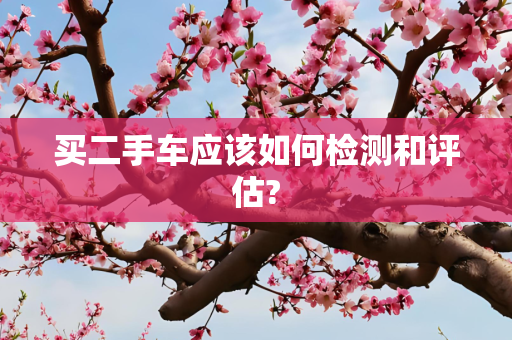 买二手车应该如何检测和评估?